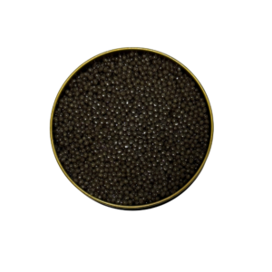 Caviar Beluga (Huso-huso)