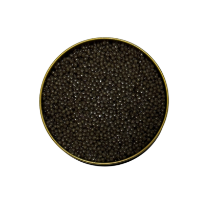 Caviar Beluga (Huso-huso)