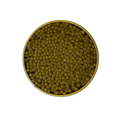 Caviar Osetra (Asetra)